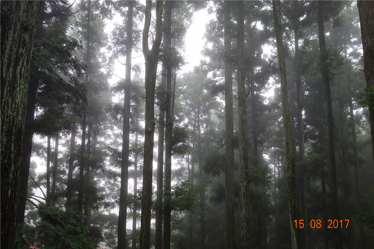 宝马bm1122线路顶级(中国游)有限公司官网